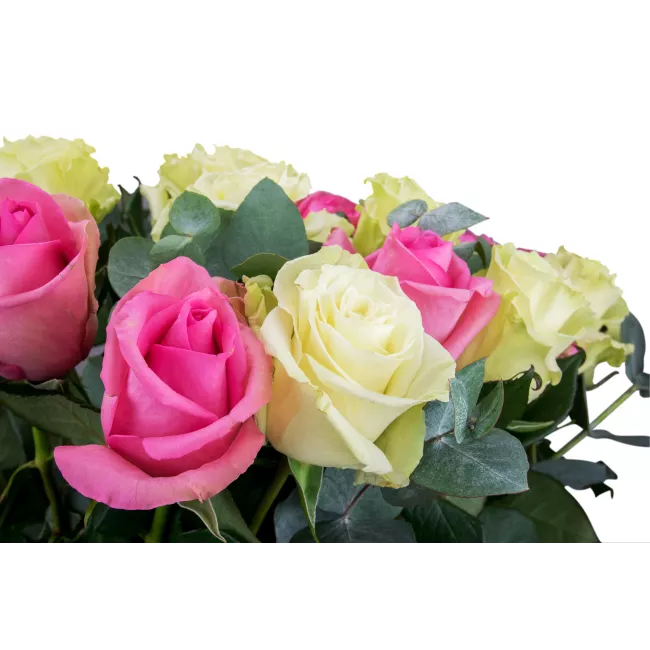 Bouquet of Ecuadorian roses